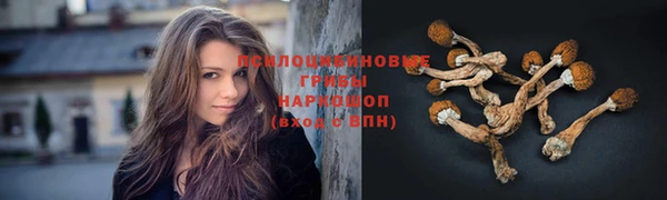 прущая мука Аркадак