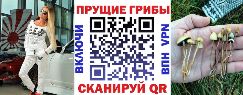 мориарти официальный сайт  Аша  Галлюциногенные грибы ЛСД  blacksprut ТОР 