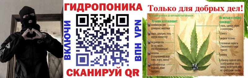 Канабис Bruce Banner  Аша 
